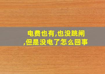 电费也有,也没跳闸,但是没电了怎么回事