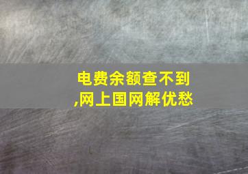 电费余额查不到,网上国网解优愁