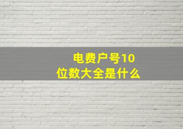 电费户号10位数大全是什么