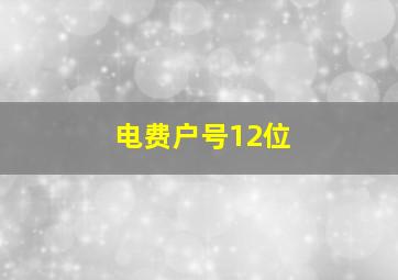 电费户号12位