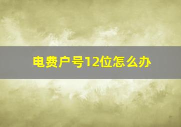 电费户号12位怎么办