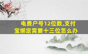 电费户号12位数,支付宝绑定需要十三位怎么办