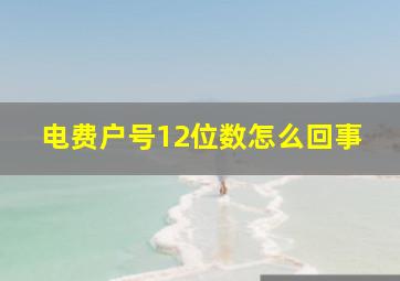 电费户号12位数怎么回事