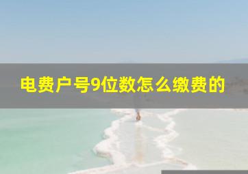 电费户号9位数怎么缴费的