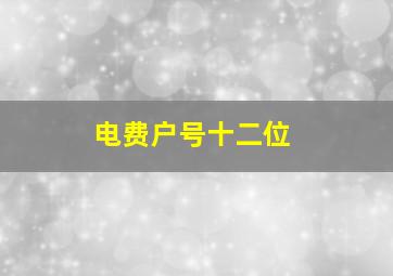 电费户号十二位