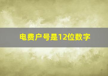 电费户号是12位数字