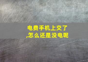 电费手机上交了,怎么还是没电呢