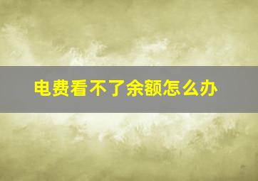 电费看不了余额怎么办