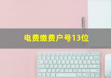 电费缴费户号13位