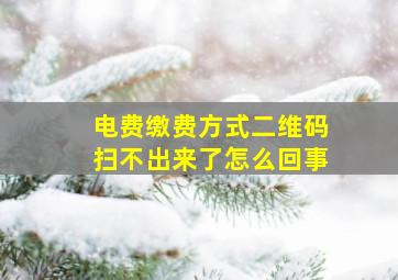 电费缴费方式二维码扫不出来了怎么回事