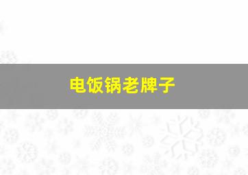 电饭锅老牌子