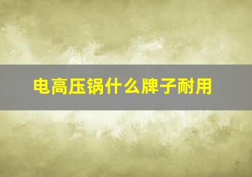 电高压锅什么牌子耐用