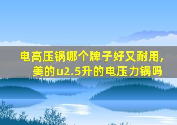 电高压锅哪个牌子好又耐用,美的u2.5升的电压力锅吗