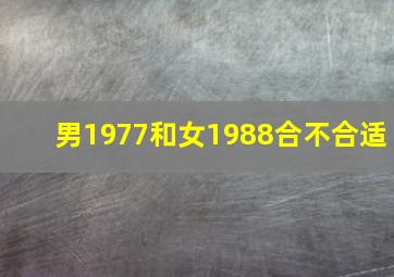 男1977和女1988合不合适