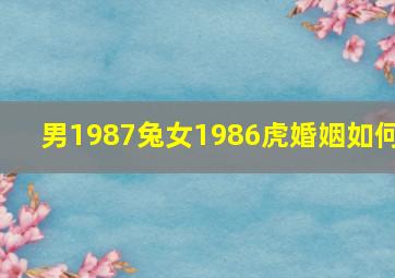 男1987兔女1986虎婚姻如何