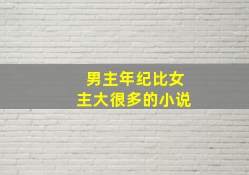 男主年纪比女主大很多的小说