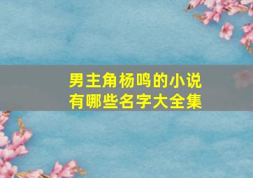 男主角杨鸣的小说有哪些名字大全集