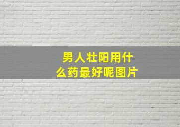 男人壮阳用什么药最好呢图片