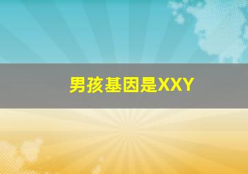 男孩基因是XXY