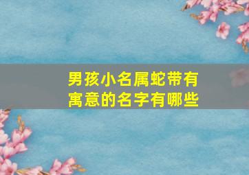 男孩小名属蛇带有寓意的名字有哪些