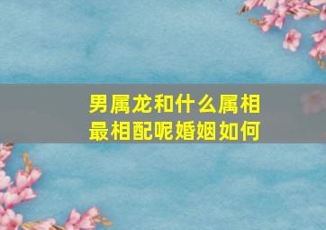 男属龙和什么属相最相配呢婚姻如何