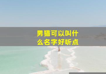 男猫可以叫什么名字好听点