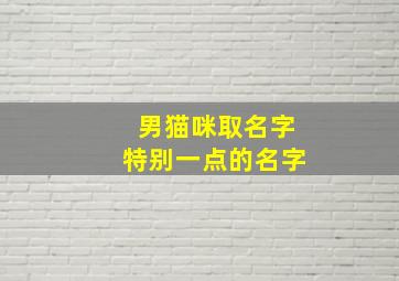 男猫咪取名字特别一点的名字