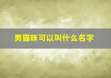 男猫咪可以叫什么名字