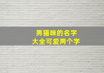 男猫咪的名字大全可爱两个字