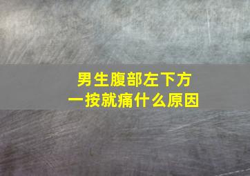 男生腹部左下方一按就痛什么原因