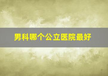 男科哪个公立医院最好