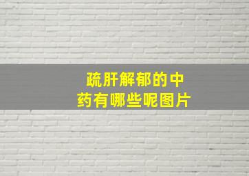 疏肝解郁的中药有哪些呢图片