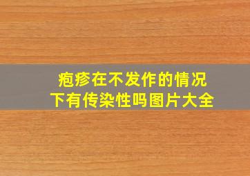 疱疹在不发作的情况下有传染性吗图片大全