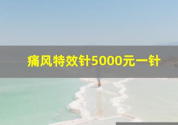 痛风特效针5000元一针