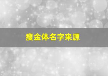 瘦金体名字来源