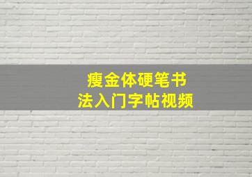 瘦金体硬笔书法入门字帖视频