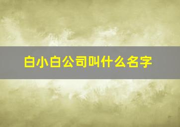 白小白公司叫什么名字