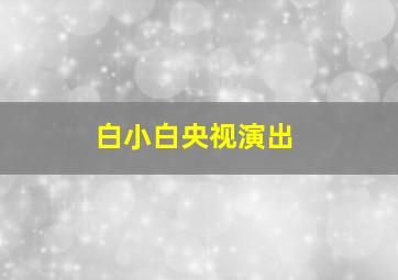 白小白央视演出