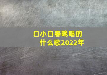 白小白春晚唱的什么歌2022年