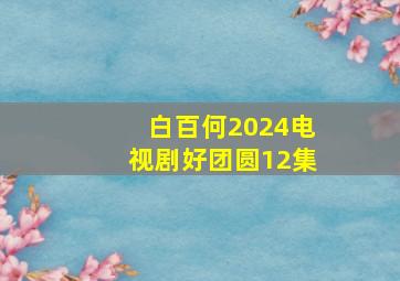 白百何2024电视剧好团圆12集