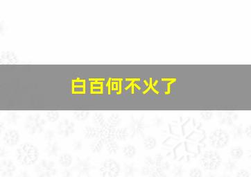 白百何不火了