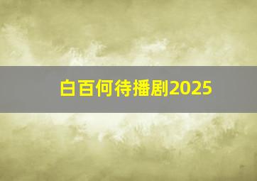 白百何待播剧2025