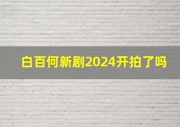 白百何新剧2024开拍了吗