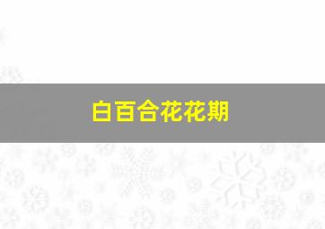 白百合花花期