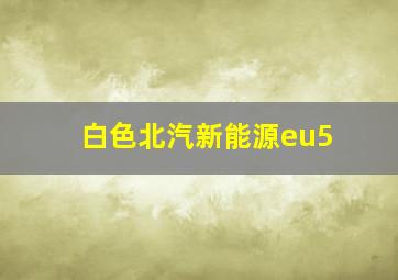 白色北汽新能源eu5