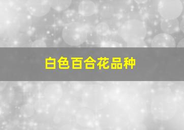 白色百合花品种