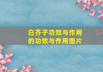 白芥子功效与作用的功效与作用图片