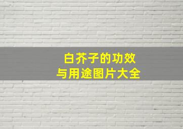 白芥子的功效与用途图片大全