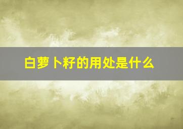 白萝卜籽的用处是什么