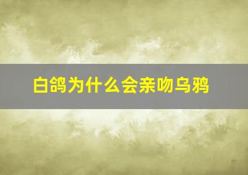 白鸽为什么会亲吻乌鸦